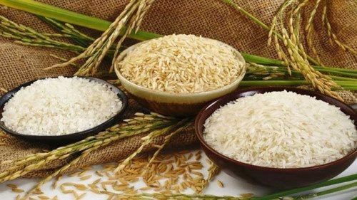 Giá lúa gạo hôm nay 3/3: Giá lúa duy trì ổn định