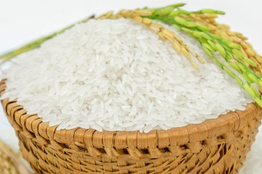 Giá lúa gạo hôm nay 16/3: Không có biến động mới