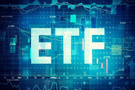 Những cổ phiếu lọt các rổ ETF biến động ra sao trong ngày hoàn tất cơ cấu danh mục?