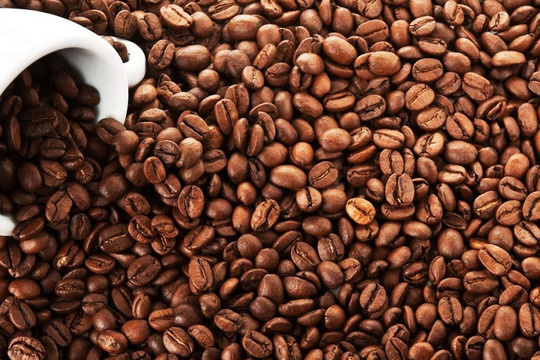Giá cà phê hôm nay 24/3: Robusta giảm gần 1,5%