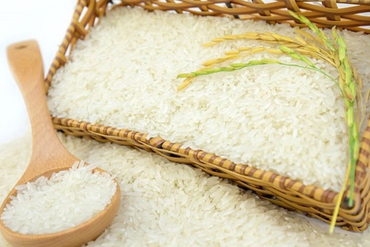Giá lúa gạo hôm nay 26/5: Tiếp tục đi ngang