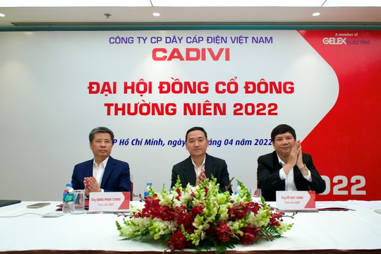 CEO Gelex được bầu làm Chủ tịch HĐQT CTCP Dây cáp điện Việt Nam (CADIVI)