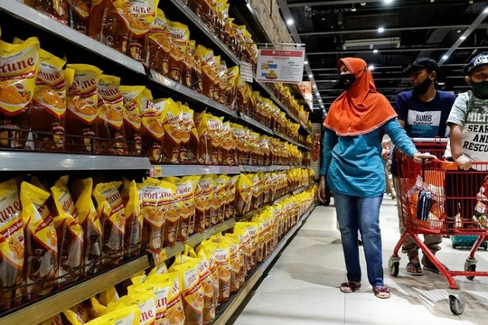 Indonesia cấm xuất khẩu dầu ăn và nguyên liệu thô