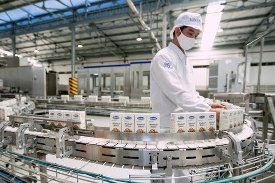 Giá nguyên liệu đầu vào "ăn mòn" lợi nhuận các doanh nghiệp sữa Việt Nam