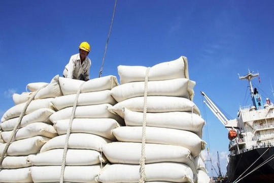Nhiều cơ hội cho doanh nghiệp xuất khẩu gạo Việt Nam
