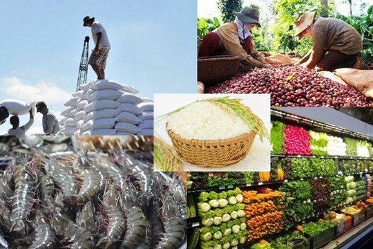 Nỗ lực đa dạng hóa thị trường xuất khẩu nông sản