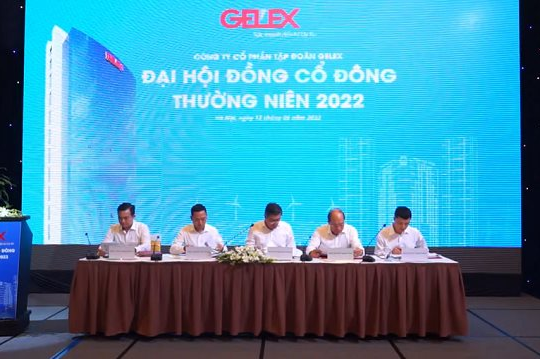 ĐHCĐ GEX: Gelex sẽ có hệ sinh thái cổ phiếu cùng họ trong năm 2022