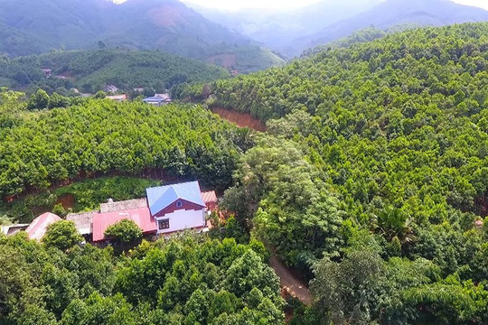 Yên Bái chuyển mục đích sử dụng 109 ha đất rừng làm 32 dự án