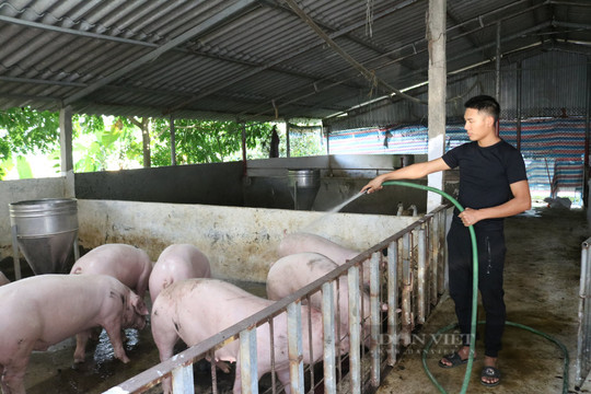 Chăn nuôi Phú Sơn (PSL) lên kế hoạch lãi năm 2022 "đi lùi" 78% so với cùng kỳ