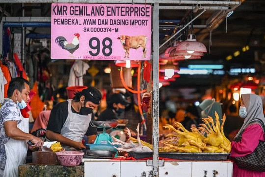Malaysia tìm cách kìm hãm đà tăng giá thịt gà