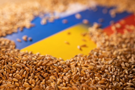 Nga sẵn sàng hỗ trợ Ukraine trong việc xuất khẩu ngũ cốc