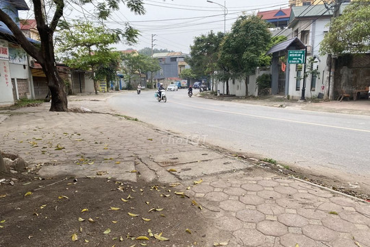 Huyện Mê Linh tổ chức đấu giá 17 thửa đất tại xã Thanh Lâm