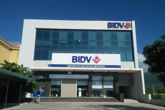 Kinh doanh bết bát, một doanh nghiệp họ Licogi bị BIDV phát mại tài sản