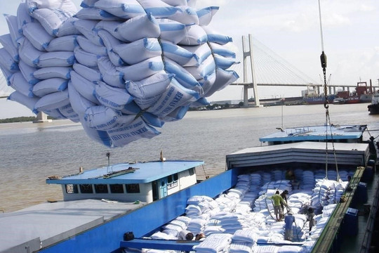 Philippines tiếp tục giảm thuế nhập khẩu gạo nhằm kiềm chế lạm phát