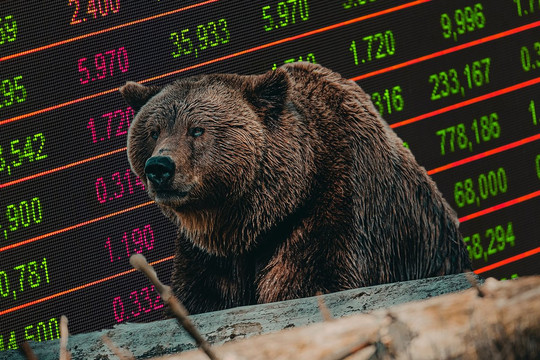 3 sai lầm cần tránh trong thị trường gấu