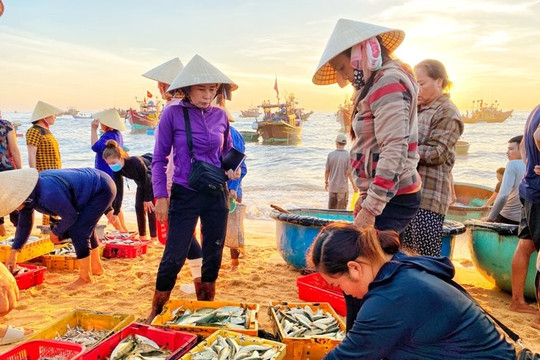 Xuất khẩu hải sản Việt Nam đạt 1,7 tỷ USD sau 5 tháng