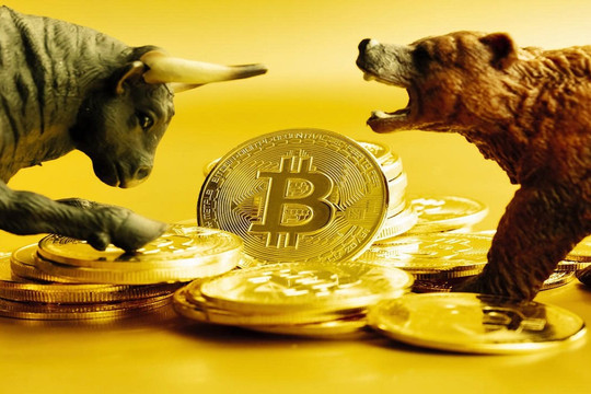 Hệ quả sau những cú lao dốc không phanh của Bitcoin và tiền mã hóa