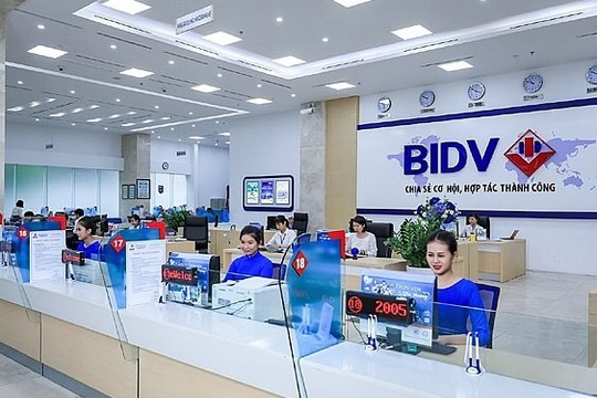 BIDV đấu giá khoản nợ còn tranh chấp của Thương mại Tài Nguyên, giá khởi điểm 4.659 tỷ đồng