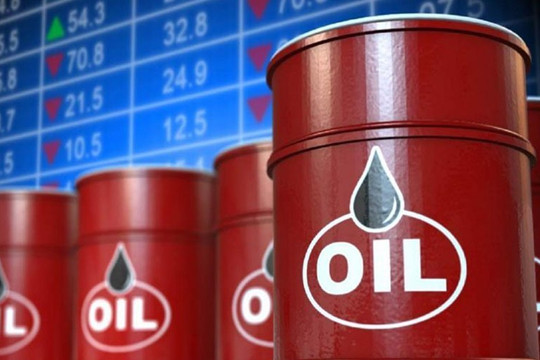 7 doanh nghiệp đầu mối xăng dầu bị tước giấy phép hoạt động