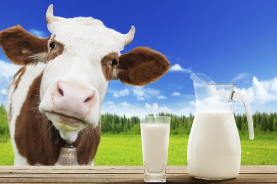 Lãi quý II/2022 đột biến, một công ty ngành sữa bất ngờ "khóa" room ngoại