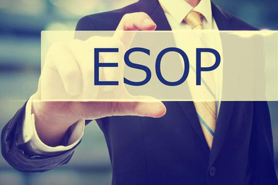 Một công ty dược sắp thưởng 750.000 cổ phiếu ESOP cho 27 người lao động