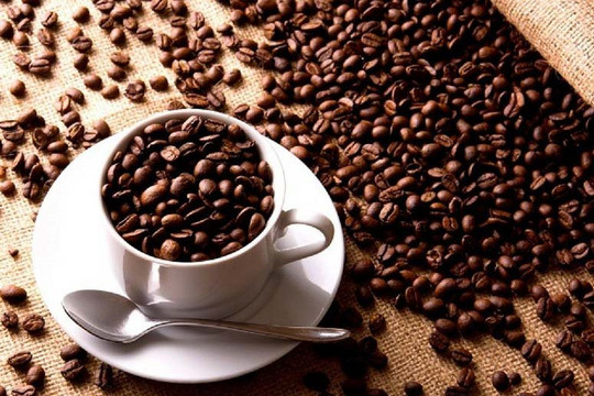 Một cổ phiếu doanh nghiệp cà phê tăng trần 22 phiên liên tiếp trong vòng 1 tháng