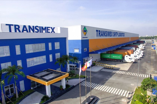 Transimex (TMS) triển khai phát hành gần 32 triệu cổ phiếu trả cổ tức và thưởng