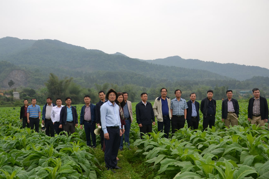 Thuốc lá Ngân Sơn (NST) bất ngờ lãi đậm sau 2 quý lỗ đầu năm