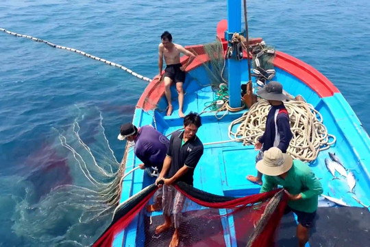 Đề xuất giải pháp gỡ bỏ "thẻ vàng" thủy sản Việt Nam