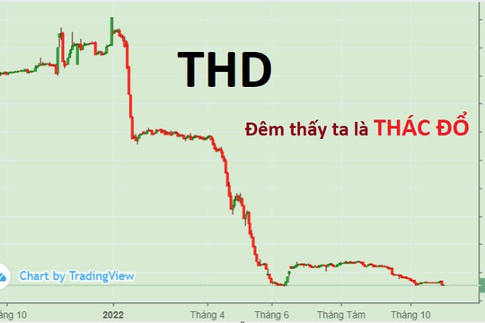 Thaiholdings (THD): Lợi nhuận quý liên tục "bốc hơi", cổ phiếu lại về 3x