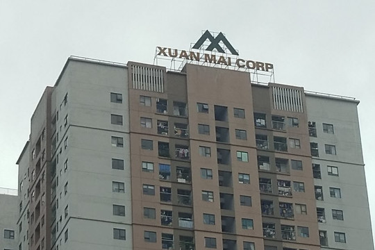 Chủ tịch HĐQT của Xuân Mai Corp chi 65 tỷ đồng mua 10 triệu cổ phiếu XMC