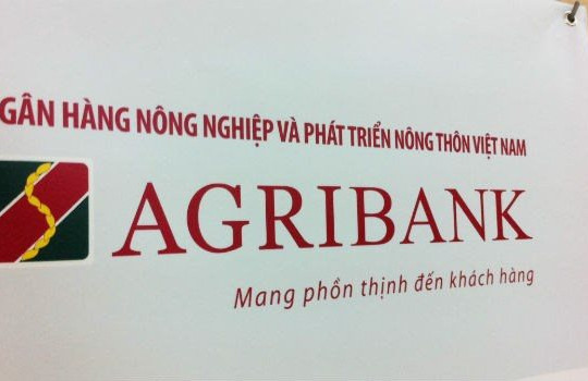 Tài sản thế chấp cho khoản nợ của Taphaco US được rao bán: 2 lô đất tổng diện tích 1.400m2