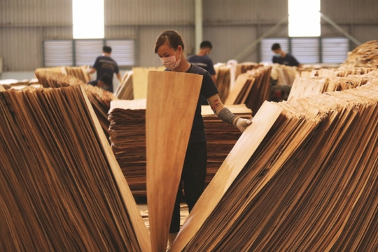 Ngành gỗ tận dụng cơ hội, hoàn thành mục tiêu năm 2022