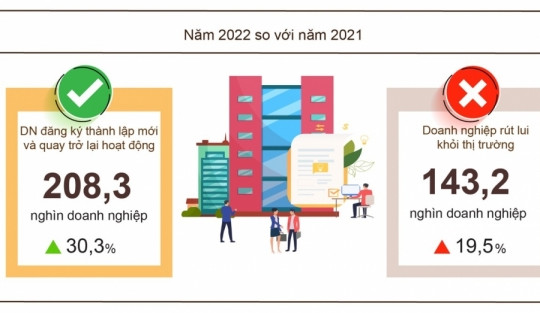 Hơn 208 nghìn doanh nghiệp thành lập và hoạt động trở lại trong năm 2022