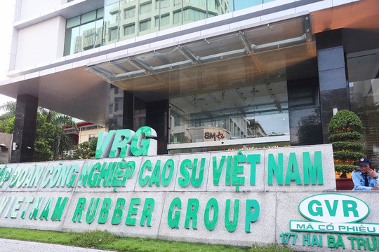 Tập đoàn Cao su Việt Nam (GVR) ước lãi quý 4/2022 “đi lùi” 47%
