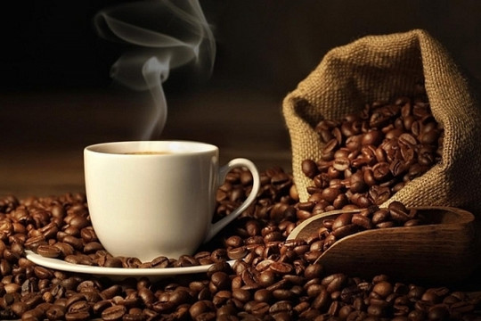Giá cà phê hôm nay 5/1: Vượt mốc 40.000 đồng/kg