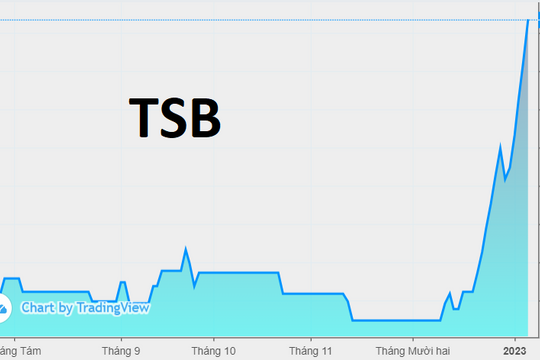 Tăng 174% sau gần 1 tháng, cổ phiếu TSB vẫn cách giá "thoát hàng" của Vinachem 37%