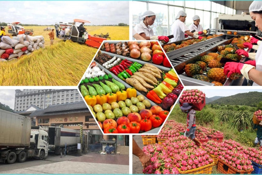 Trung Quốc mở cửa trở lại: Nông sản xuất khẩu Việt Nam đón "cơ hội vàng"