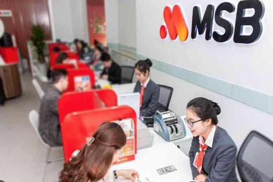 Bất động sản Thành Vinh trở thành cổ đông lớn của MSB