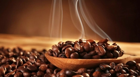 Giá cà phê hôm nay 20/1: Cao nhất 40.900 đồng/kg