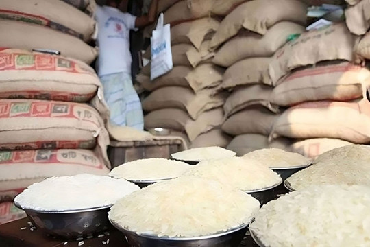Giá gạo Ấn Độ lập đỉnh gần 2 năm