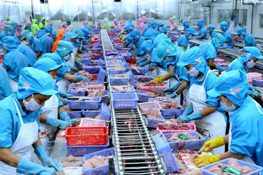 Thêm 23 doanh nghiệp thủy sản được phép xuất khẩu vào Trung Quốc