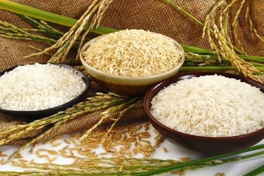 Gạo Việt rớt hạng dù tăng giá mạnh