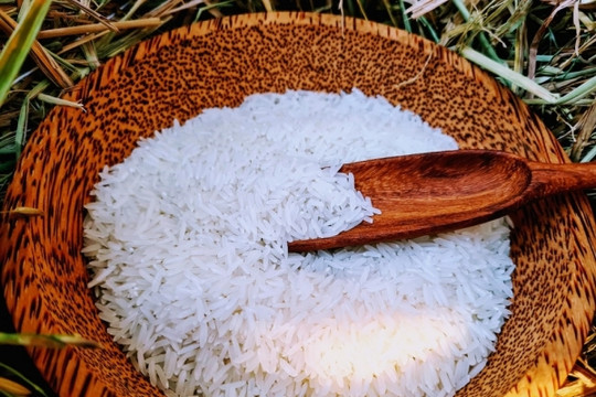 Giá gạo Việt Nam tăng lên mức cao nhất trong vòng 2 năm