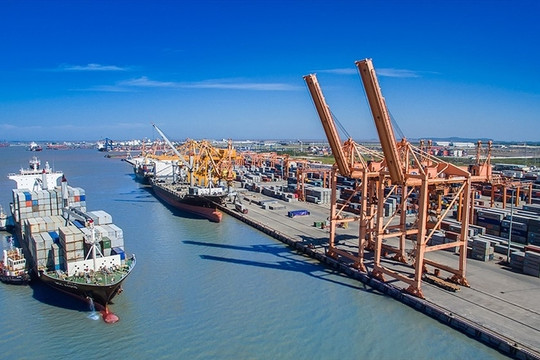 Vận tải và Thuê tàu (VFR) tái lỗ trong quý 4, lãi năm 2022 gấp 2,3 lần cùng kỳ