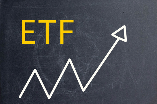 VNM ETF lặng lẽ gom loạt cổ phiếu đầu ngành thép, bất động sản, chứng khoán