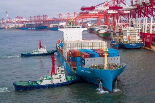 Giá cước vận tải hàng hóa bằng đường biển lao dốc
