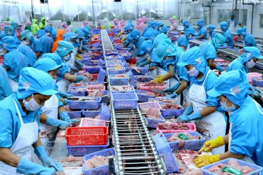 ASEAN là thị trường xuất khẩu thủy sản lớn thứ 4 của Việt Nam