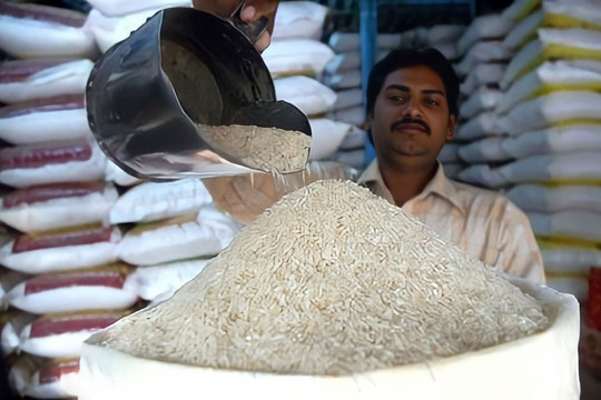 Giá lúa gạo sẽ biến động thế nào khi Ấn Độ gia hạn lệnh cấm xuất khẩu?