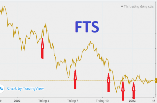 Một tổ chức ngoại quốc tiếp tục "trung bình giá xuống" cổ phiếu FTS